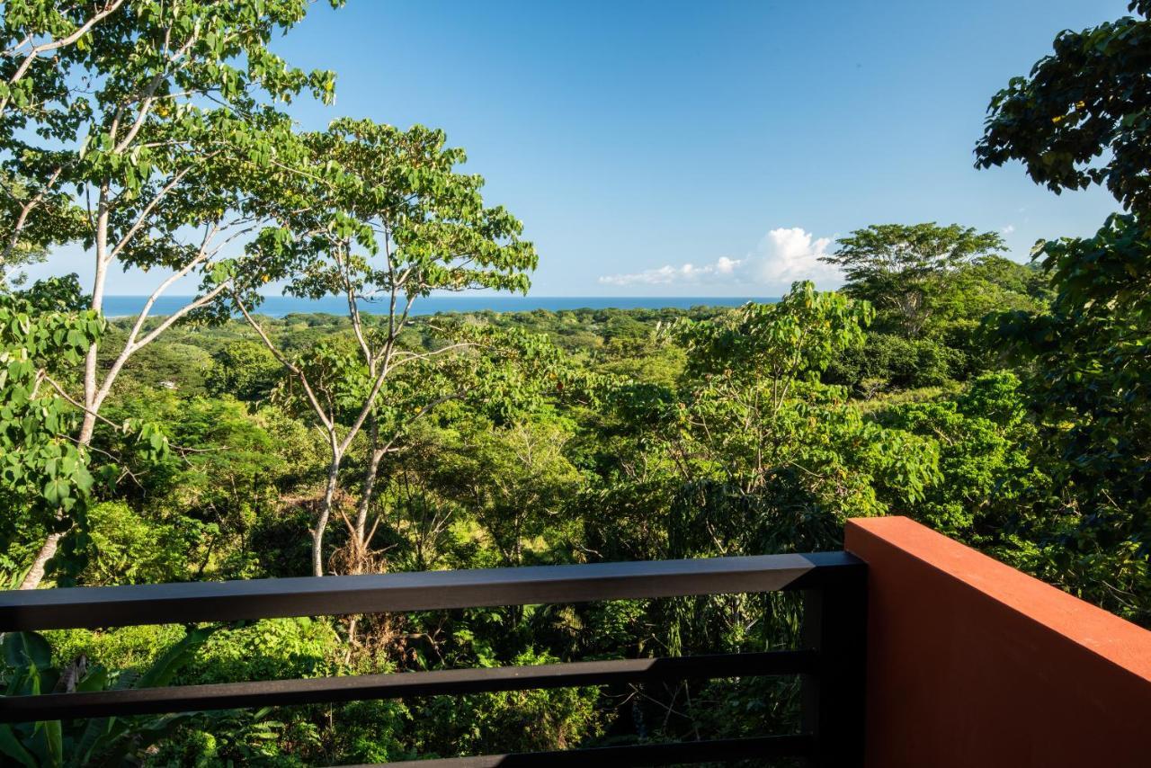 Jungle Lodge At Wild Sun Rescue Center Cabuya  Eksteriør bilde