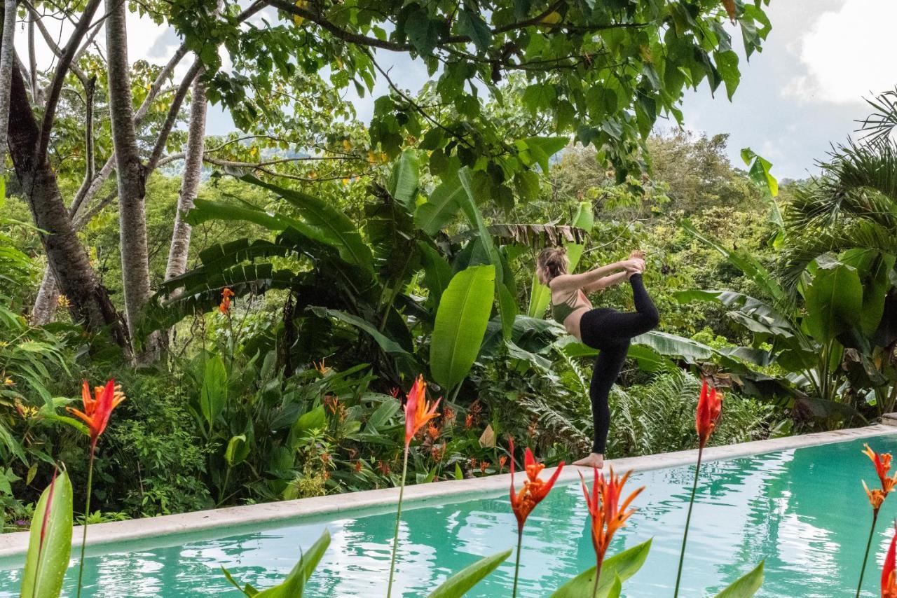 Jungle Lodge At Wild Sun Rescue Center Cabuya  Eksteriør bilde